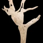 Possibly ANNIE ALlKASHUAK SEWOEE (1936-) ARVIAT (ESKIMO POINT), Friends Observing Wildlife, May 1989