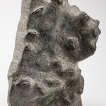 TOONOO SHARKY (1970-) KINNGAIT (CAPE DORSET), Alighting Bird, 2001