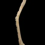 UNIDENTIFIED INUIT ARTIST, EASTERN CANADIAN ARCTIC, Ashtray and Match Holder, late 1950s