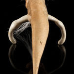 JACOB IRKOK (1937-2009) ARVIAT (ESKIMO POINT), Standing Caribou, c. late 1960s