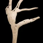 Possibly ANNIE ALlKASHUAK SEWOEE (1936-) ARVIAT (ESKIMO POINT), Friends Observing Wildlife, May 1989