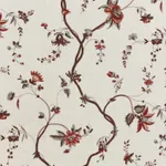 L'eglantier Multicolore