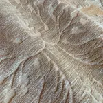 Hermitage Old Gold Beige