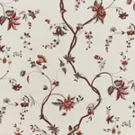 L'eglantier Multicolore