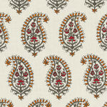 Aryan Chota Tangerine