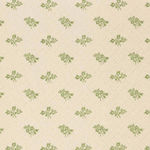 Fiorellini Fiddlehead