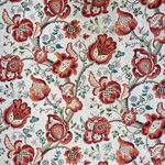 Abbotsford Persimmon