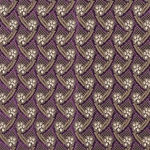 Fabia Petunia Cactus Gold