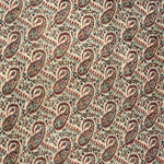 Kashmir Shawl Fragment