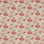 Mademoiselle Jouanon Cerise