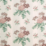 Auricula Duck Egg Stripe