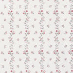 Hibiscus Vine Original On Oyster