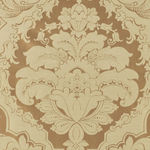 Charlotte Angel Bronze