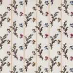 Eglantine Multicolore