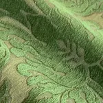 Hermitage Cactus Moss