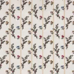 Eglantine Multicolore