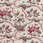 Comtesse De Mailly Multicolore