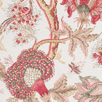 Dragon Flower Pink Green On Oyster