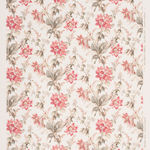 Orchid Lily Pink Green On Oyster