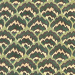 Lions Paw Suger Kelp