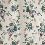 Nuts and Berries Hazelnut Blackcurrant