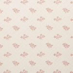 Fiorellini Soft Rose