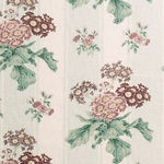 Auricula Duck Egg Stripe