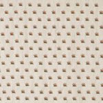 Coulonges Contrefond Mandarine