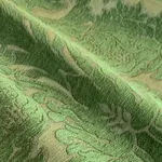 Hermitage Cactus Moss