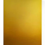 Kate Serebrianskaia, Echo of the Ginko (diptych), 2026