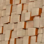 Guy Leclef, Untitled (2006)