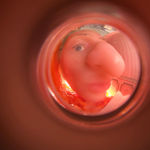 Josh Rabineau, Welcome to the Peep Show, 2024