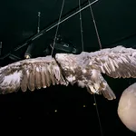 Daniela Ângelo - Inv. H307