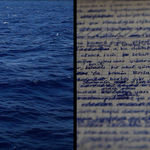 Ali Kazma - Sentimental