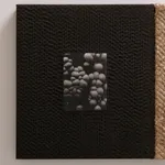 Abigail Booth, Red Rocks, 2022