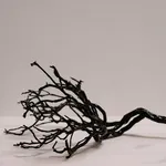 Abigail Booth, Red Rocks, 2022