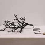 Abigail Booth, Red Rocks, 2022