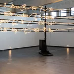 SHILPA GUPTA, I Live Under Your Sky Too, 2024