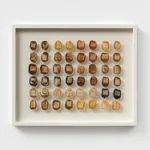 90 MILLION YEARS AND COUNTING 1, 2025