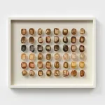 90 MILLION YEARS AND COUNTING 8, 2025