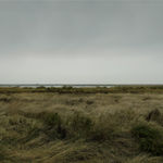 JOHN RIDDY, New York (Black Star 1–5), 2016