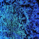 RAQS MEDIA COLLECTIVE, Tears (are not only from weeping), 2021