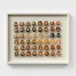 90 MILLION YEARS AND COUNTING 4, 2025