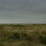 JOHN RIDDY, New York (Black Star 1–5), 2016