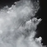 TACITA DEAN, Foreign Policy, 2016