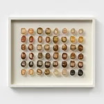 90 MILLION YEARS AND COUNTING 13 2025