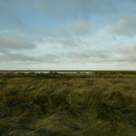 JOHN RIDDY, New York (Black Star 1–5), 2016