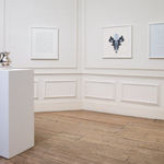 CORNELIA PARKER, Poison and Antidote Drawing, 2012