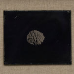 BRIDGET SMITH, Objects in Space (Galena), 2019