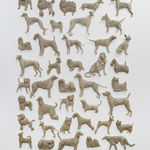 DAPHNE WRIGHT, Dogs: Utility, Toy, Hound, Terrier, 2025